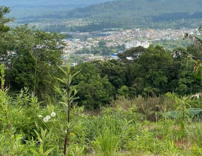 Terreno Siderópolis 360m²